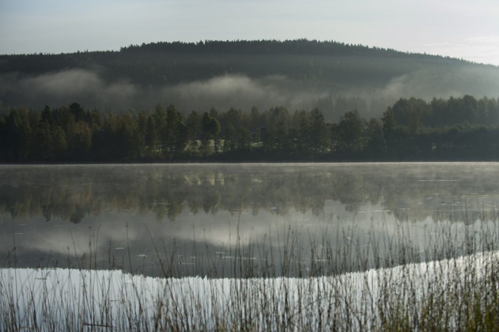Föredrag: Värmland - ett landskap blir till