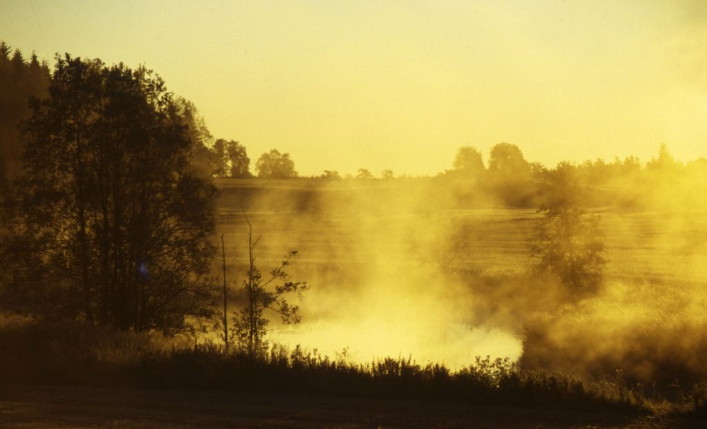 Att skriva fram ett landskap