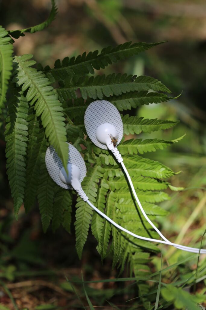 Live på museet: Lerin/Hystad