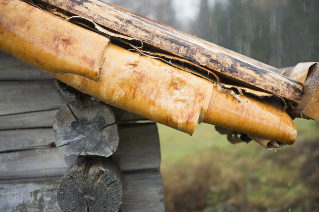Näver som byggnadsmaterial